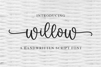 Download the Willow Font for Creative Projects