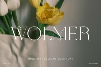Wolmer Font: Modern Geometric Design for Web Projects
